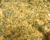 મેથી પકોડા (methi pakoda recipe in gujarati રેસીપી સ્ટેપ1ફોટો