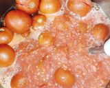 ટામેટા સોસ (Tomato Sauce Recipe In Gujarati) રેસીપી સ્ટેપ1ફોટો