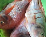 Foto langkah ke 1 dari resep Ikan nila asam manis.