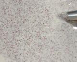 A picture of step 4 of Super Healthy Sprouted Ragi Dosa.
