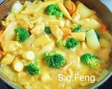 椰香雞肉蔬菜咖哩的食譜步驟10照片