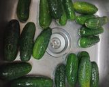 A picture of step 1 of Homemade Fermented Pickles with Saffron 2023.