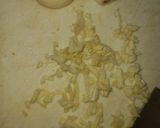 Foto del paso 4 de la receta: Fainá Gratinada con Mozzarella y Espinaca