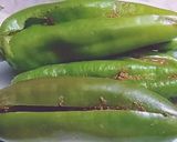 A picture of step 6 of Masala bhari Mirch,.