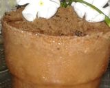 A picture of step 6 of Chocolate magic flower pot.