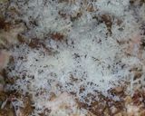 A picture of step 6 of Bake pasta.