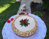Fehércsokis sajttorta (sütés nélkül) recept fázis 5 fotója