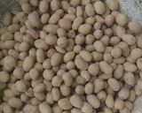 A picture of step 3 of Peanuts.
