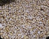 Foto langkah ke 2 dari resep Kacang Kedelai Goreng Garing Tahan 1 Bulan.