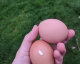 A picture of step 1 of Fried eggs + sage (the perfect pairing!).