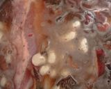 Foto del paso 3 de la receta: Judías blancas con níscalos