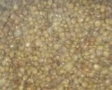 Foto del paso 1 de la receta: Hamburguesas de lenteja