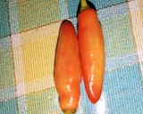 Foto langkah ke 5 dari resep Tumis jamur tiram dan tahu.