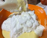 Foto del passaggio 2 della ricetta La mia Colomba (ricetta senza lievitazione)