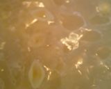 عکس مرحله 2 از دستور سالاد ماکارونیPasta Salad
