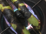 Sambal Terong Bakar