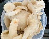 Hình bước làm 5 của món Canh cá mú nấm
