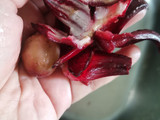 Jus Roselle