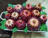 عکس مرحله 4 از دستور سفره یلدایی