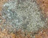 عکس مرحله 4 از دستور دلمه برگ مو ☘👍