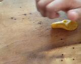 A picture of step 4 of Fafda Gathiya.