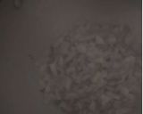 A picture of step 7 of Fish Tikka Masala.