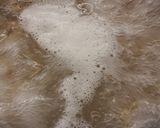 Pas rețetă Paste fusilli cu roșii, ricotta și basilico 5 fotografie