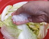 Foto langkah ke 1 dari resep Kimchi Korea (Sawi Putih & Wortel).