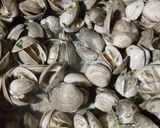 Foto del paso 5 de la receta: Almejitas al ajillo