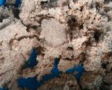 A picture of step 3 of Grilled Kibbeh.