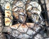 Foto langkah ke 3 dari resep Nila Bumbu Terasi.