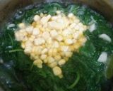 Foto langkah ke 3 dari resep Sayur Bening.