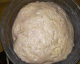 Foto del paso 7 de la receta Masa Madre de pan