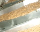 Foto del paso 6 de la receta: Pan integral
