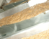 Foto del paso 6 de la receta: Pan integral
