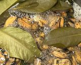 Foto langkah ke 2 dari resep 20. KERANG SAOS PADANG.