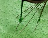 Foto langkah ke 5 dari resep Talam Susu Mutiara Lapis Pandan.