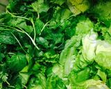 A picture of step 2 of Vietnamese Fresh Spring Rolls (Nem cuốn/Gỏi cuốn).