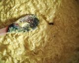 Foto del paso 7 de la receta: Ají de gallina