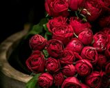 صورة لخطوة 5 من وصفة مقروط 😊😊😊😍😍😍