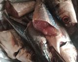 Foto langkah ke 1 dari resep Ikan Salem - Kecombrang (bumbu kuning).