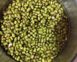 हेल्दी मूंग सलाद (Healthy Moong salad recipe in Hindi) रेसिपी चरण 1 फोटो