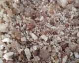 A picture of step 2 of Gond(panjeri).