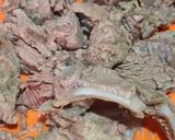 Foto langkah ke 1 dari resep Soto Daging Tanpa Santan.