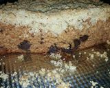 Foto del paso 17 de la receta: Torta de banana split con crumble