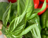 Foto del paso 1 de la receta: Pisto, en conserva