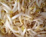 Foto langkah ke 1 dari resep Oseng toge tempe teri medan.
