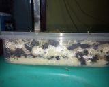 Foto langkah ke 5 dari resep Chesse cake oreo ala rumahan.