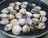 Foto del paso 1 de la receta: Berberechos a la plancha