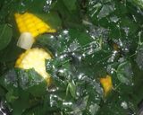 Foto langkah ke 4 dari resep Sayur Bening Katuk&Jagung.